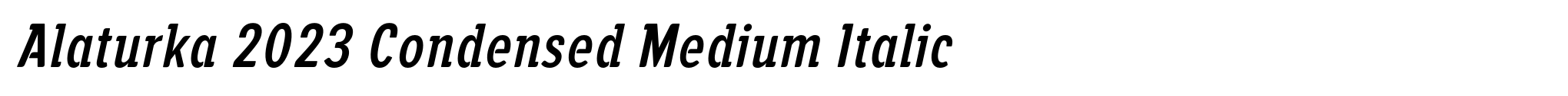 Alaturka 2023 Condensed Medium Italic image
